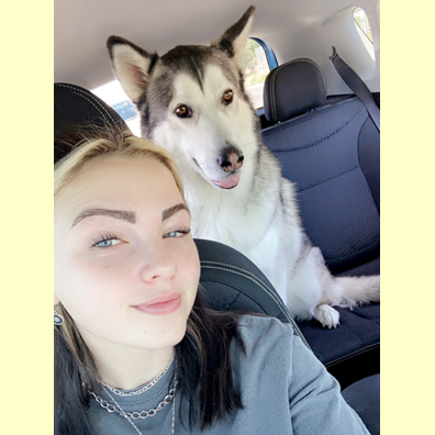 Pet Picture